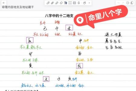 新字的五行属性解析及其对命理的影响