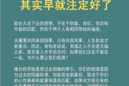 探索名字姻缘背后的深刻意义与影响