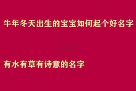 牛年宝宝名字大全：涵义深刻的名字推荐