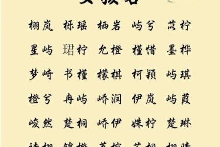 在线宝宝名字大全：帮助你找到完美名字的秘诀