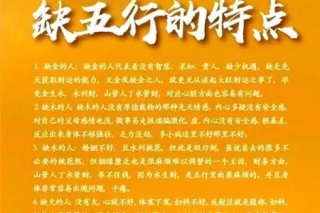 会五行属什么？五行与个人命理的深度解析