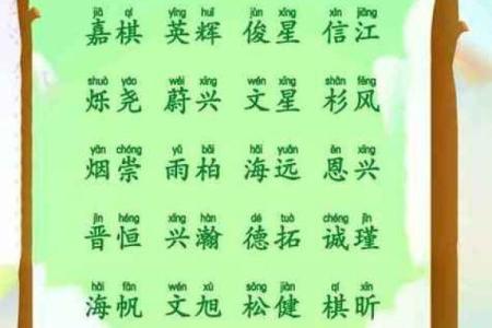 为水命选择名字的五个关键因素