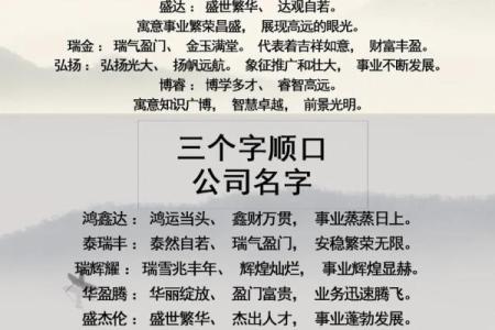 洗护产品公司起名创意大全，助你打造独特品牌形象