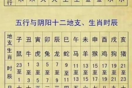 阴命阳命的深层含义与应用