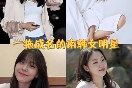 韩国女星名字对粉丝文化的影响分析