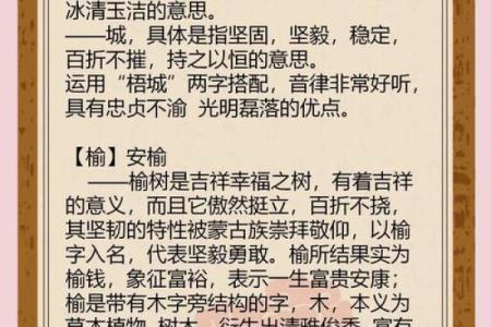 适合不同生肖宝宝的名字大全，寓意美好