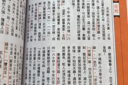 本命年属蛇人的运势预测