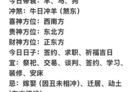 人运程：每月运势预测与解读