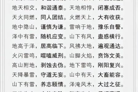 尹琳五行智慧：如何利用五行调整人生轨迹
