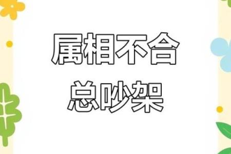 属鸡男女婚姻关系的默契与冲突