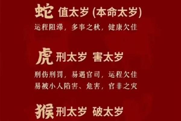 鼠男本命年运势变化的原因 鼠男本命年运势变化的原因