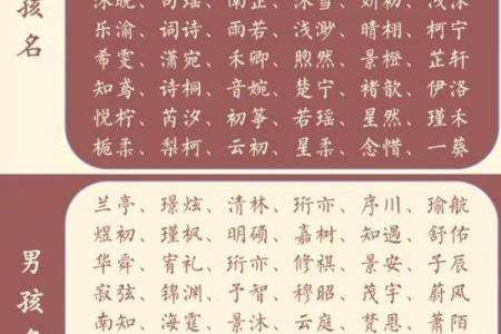为谭姓宝宝起个寓意深远的名字：趋势分析
