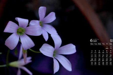 9月15日特别日历，揭秘你的幸运日，不容错过
