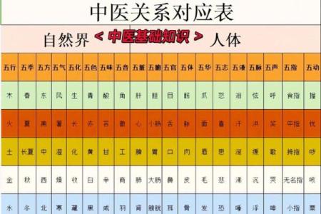 销售行业五行解析：如何运用五行理论提升业绩和人脉？