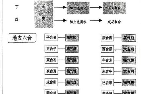 掌握八字地支三会的奥秘，解锁命运的关键密码