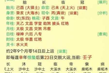 揭秘身旺八字的秘密：如何利用八字提升个人运势？