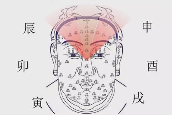 夏字五行属性解析及其对命理的影响