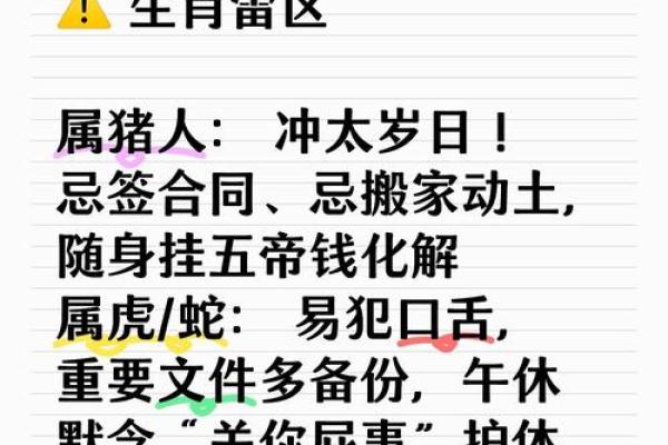属猪运势详解与应对建议
