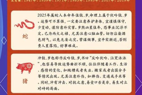 属狗人的财运走向:如何抓住机遇 属狗人的财运走向:如何抓住机遇