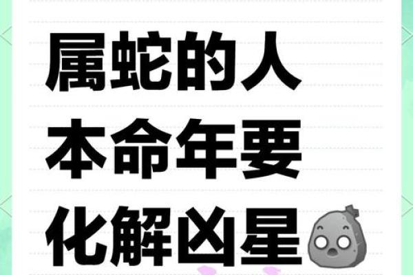 属蛇人本命年如何避免情感波动 属蛇人本命年如何避免情感波动