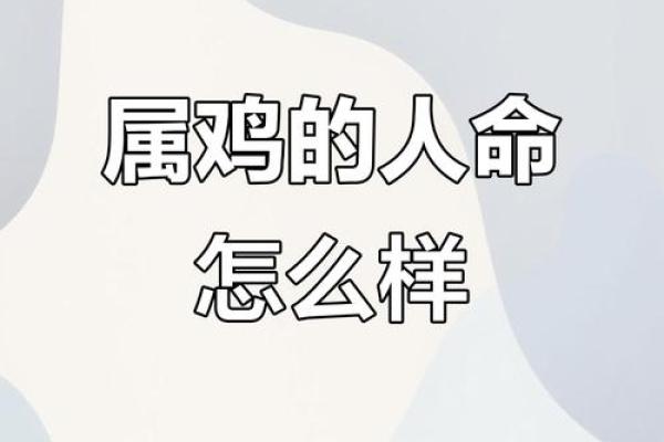 羊年与鸡年出生的命运解析：两者命格有何不同