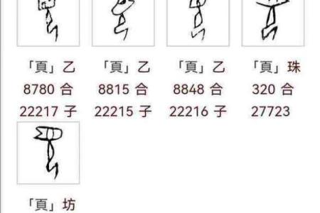 夏字五行属性解析及其对命理的影响