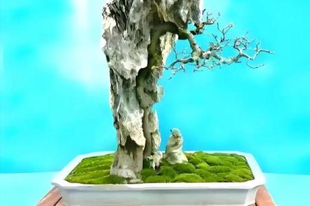 石山在风水中的象征意义与应用技巧