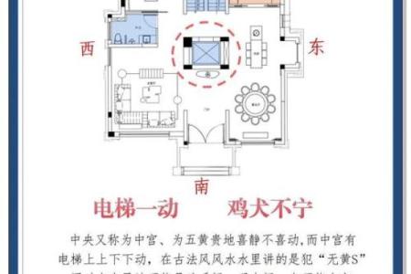 室内家居风水学技巧：打造和谐环境的五个关键
