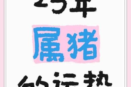属猪运势详解与应对建议