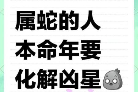 属蛇人本命年如何避免情感波动