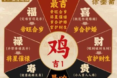 羊年与鸡年出生的命运解析：两者命格有何不同