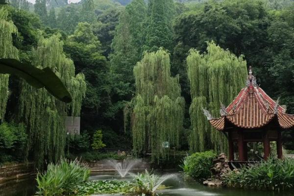 宜宾家居风水布局的独特特点与实践建议