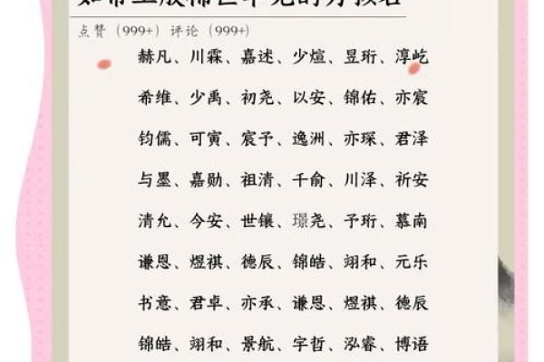 名字的力量：如何选出最适合的名字