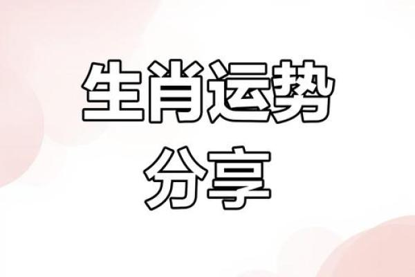 根据生肖看今日运势：每个属相的幸运时刻