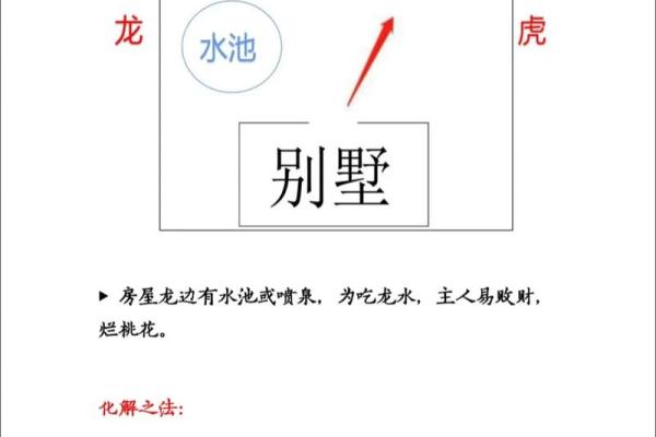 风水布局中的生龙口开运秘诀解析