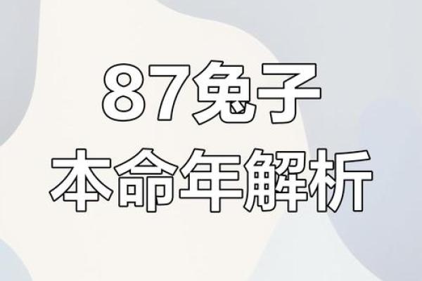本命年属兔人如何提升自我成长与发展