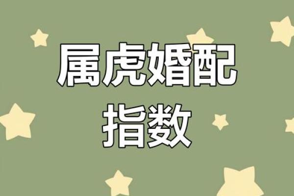 年虎人感情运势与注意事项 年虎人感情运势与注意事项