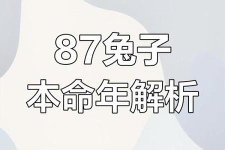 本命年属兔人如何提升自我成长与发展
