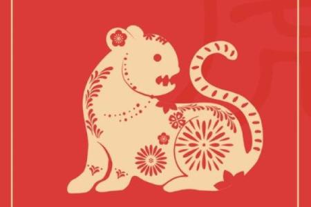 年虎人感情运势与注意事项