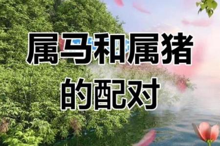 属龙与属猪的关系分析：两者是否和谐美满