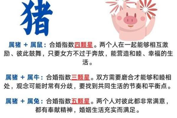 猪与牛的婚姻是否能长久