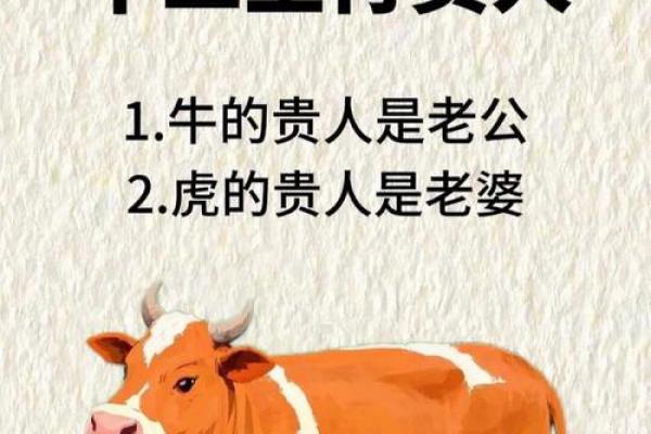 猪与牛的婚姻是否能长久