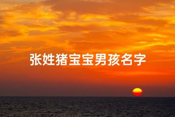 猪宝宝名字选得好，免费指导教你取个有寓意的名字