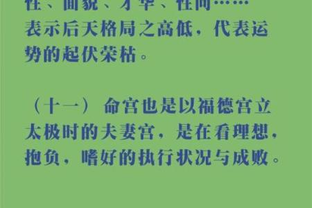 文命武命的深度解析与人生启示