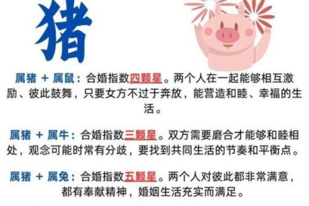 猪与牛的婚姻是否能长久