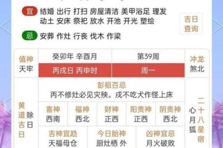 人每月运程全面解析与运势指南