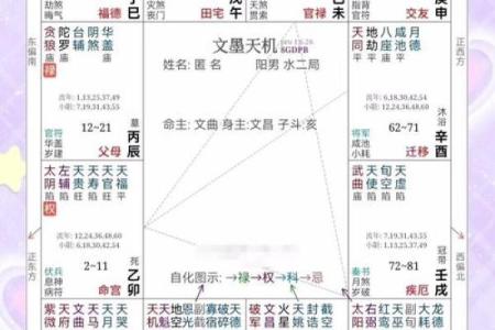 阳命水相人的命理解析与生活建议