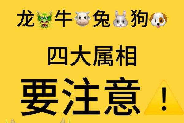 属龙本命年如何增强自信与决心