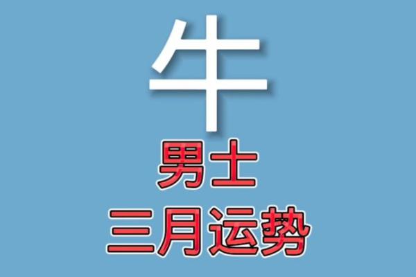 本命年牛男如何化解运势不佳