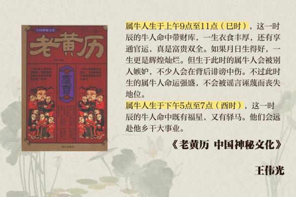 出生属牛的运程与命运走向